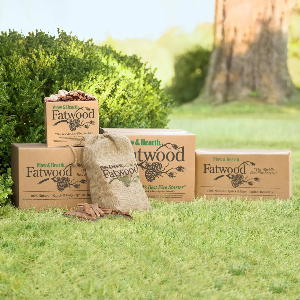 Fatwood Fire-Starter, 40 lb. Box - Image 5